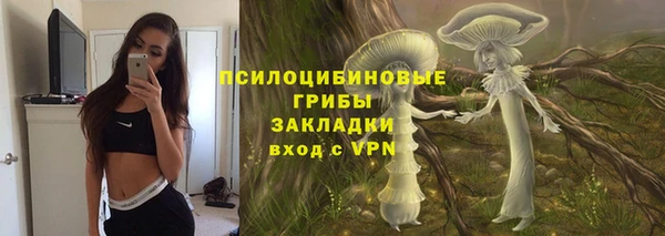 эйфоретик Алзамай