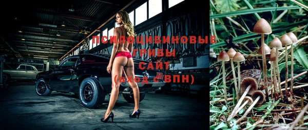 ECSTASY Алексеевка