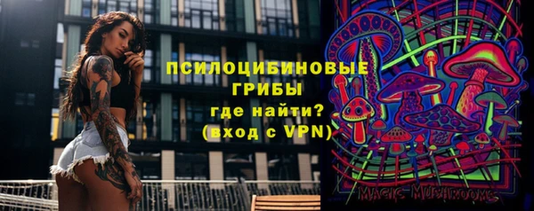 ECSTASY Алексеевка